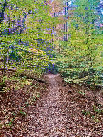 Images Brent Maudlin - State Farm Insurance Agent