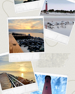 BlueHazelPhoto Image