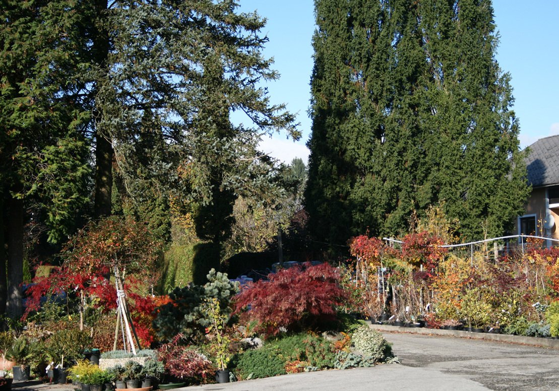 Baumschule Ledolter, Stattegger Straße 130 in Graz