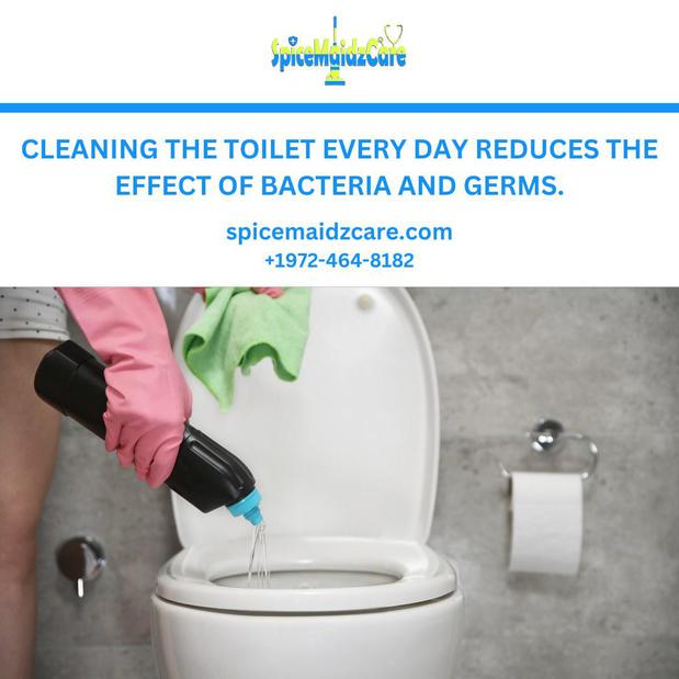 Images SpiceMaidzCare