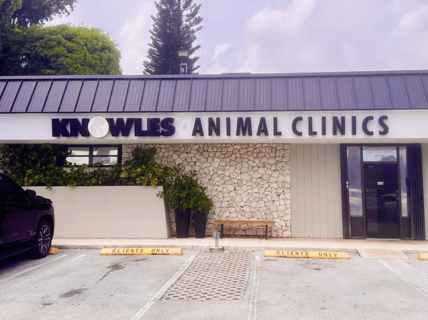 Images VCA Knowles Snapper Creek Animal Hospital