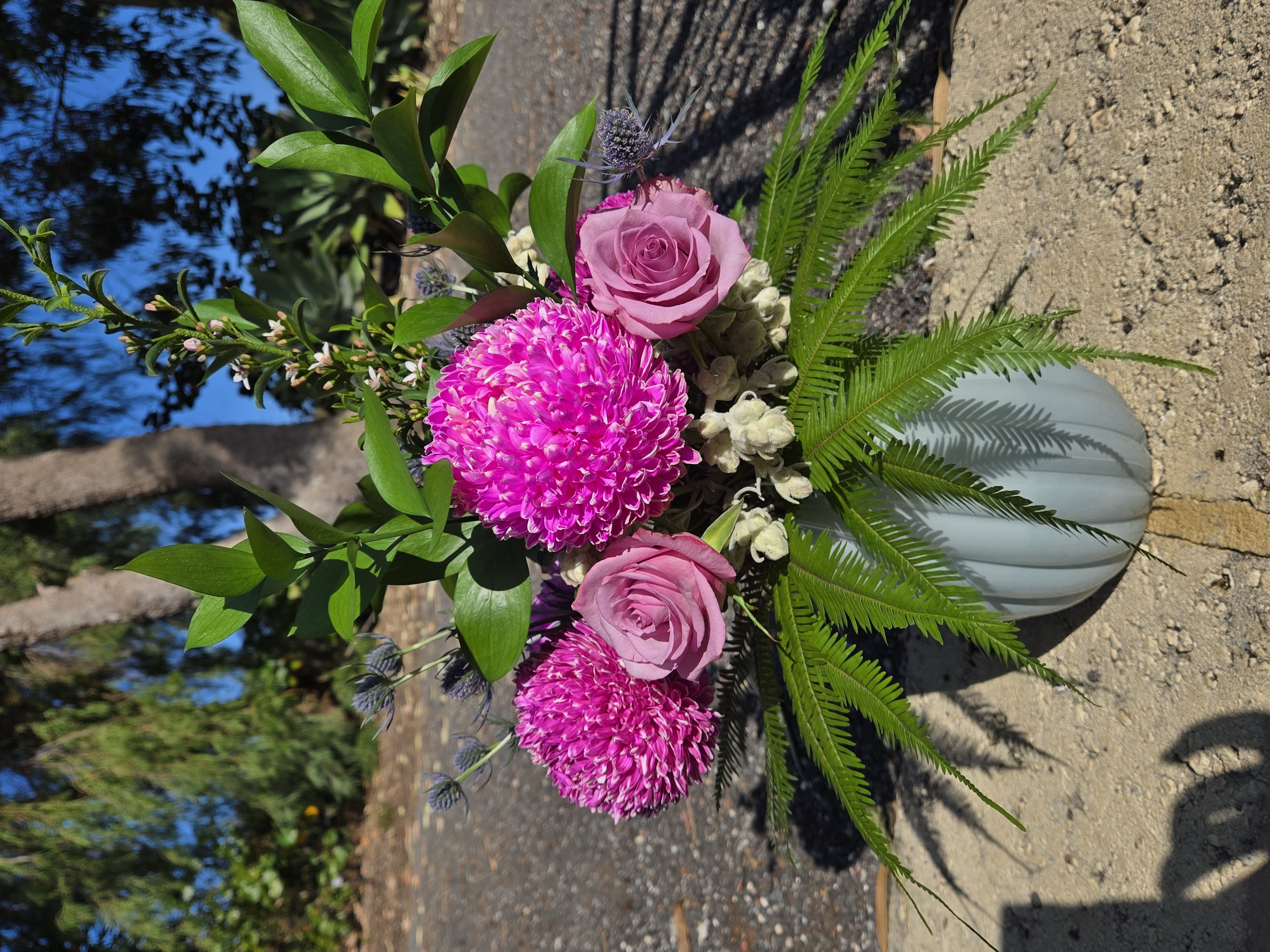 Images The Wild Bunch Florist & Living Gifts