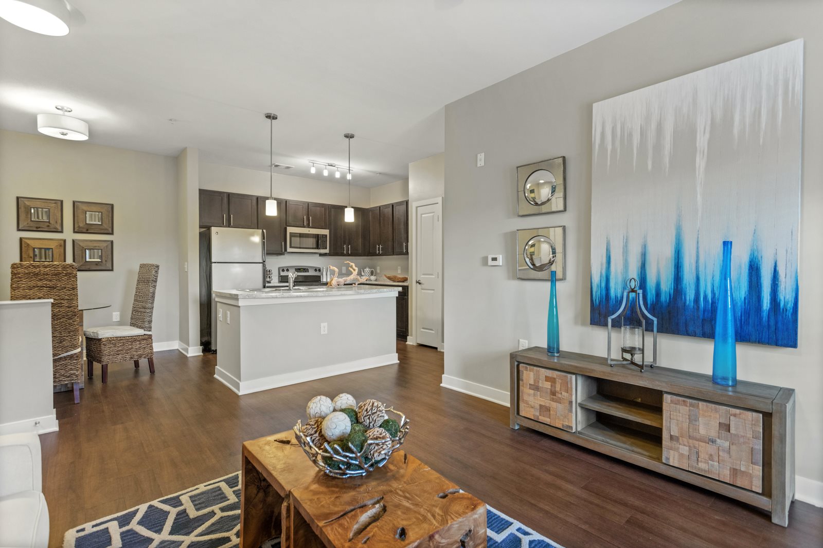 Gorgeous Living Area & Kitchen