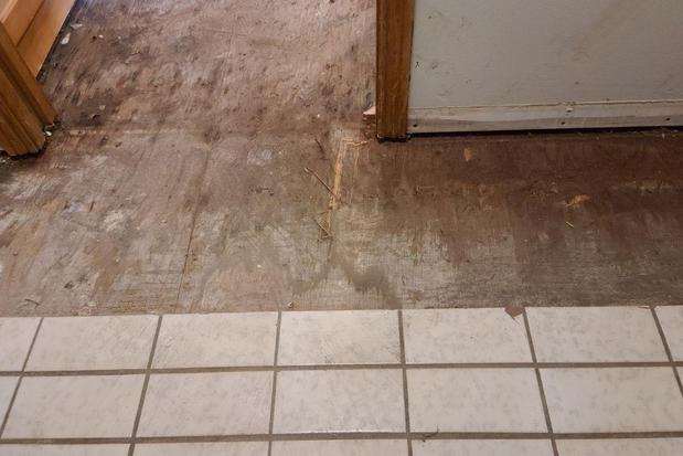 Images First Response Restoration, Water Damage Minneapolis Specialist