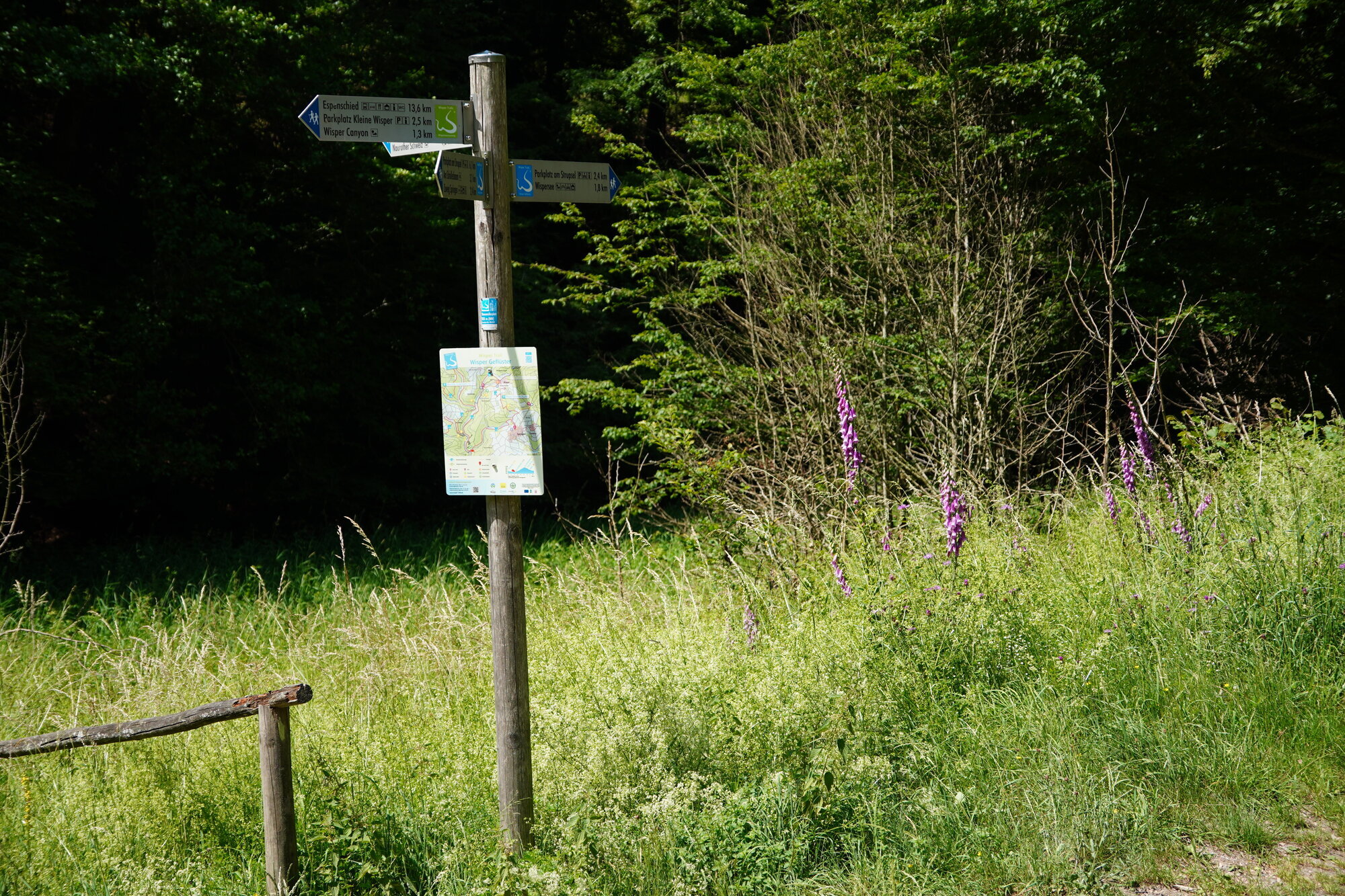 Fasten & Balance - Larissa Hoffmann, Strüthbachweg 1 in Heidenrod