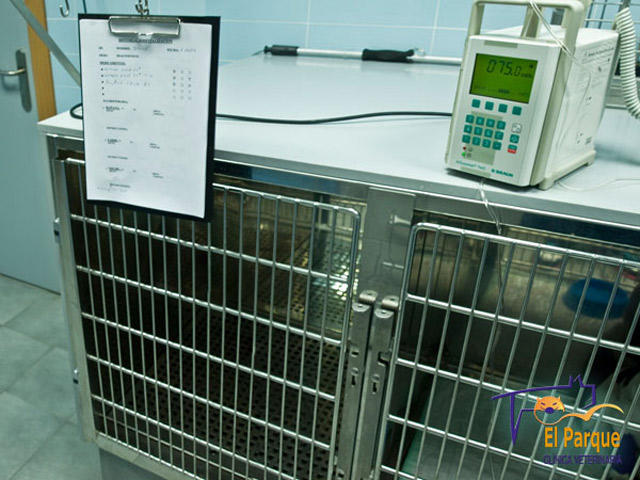 Images Clinica Veterinaria el Parque