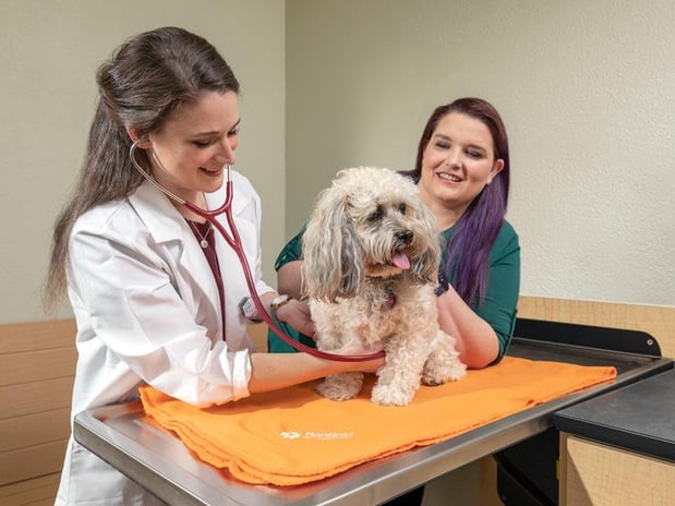Images Banfield Pet Hospital