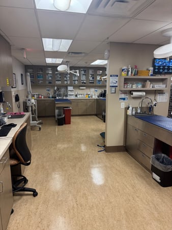 Images VCA Kingwood Animal Hospital