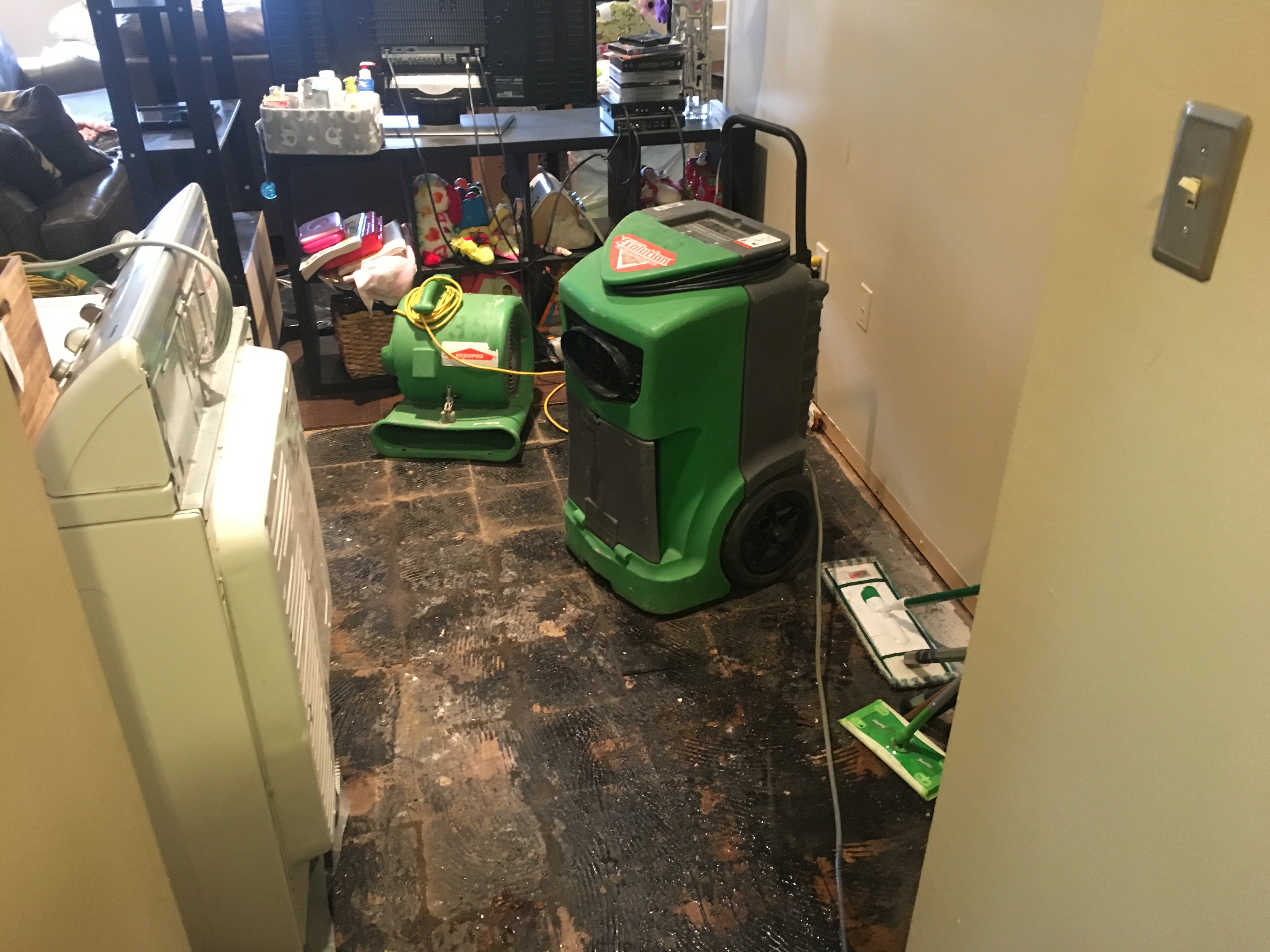 Big or small, SERVPRO is here to help!