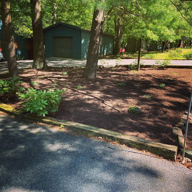 Images Barr Landscaping