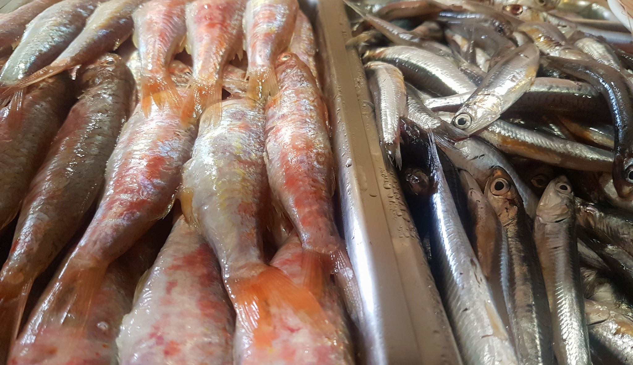 Images Bar El Rinconcito