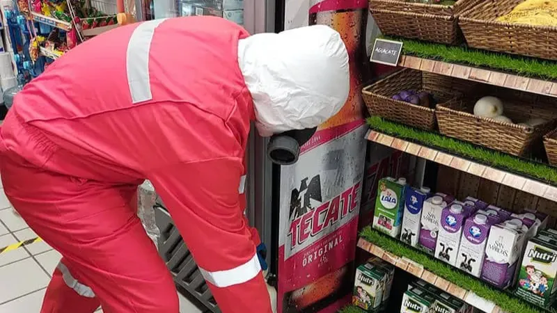 Galería en miniatura