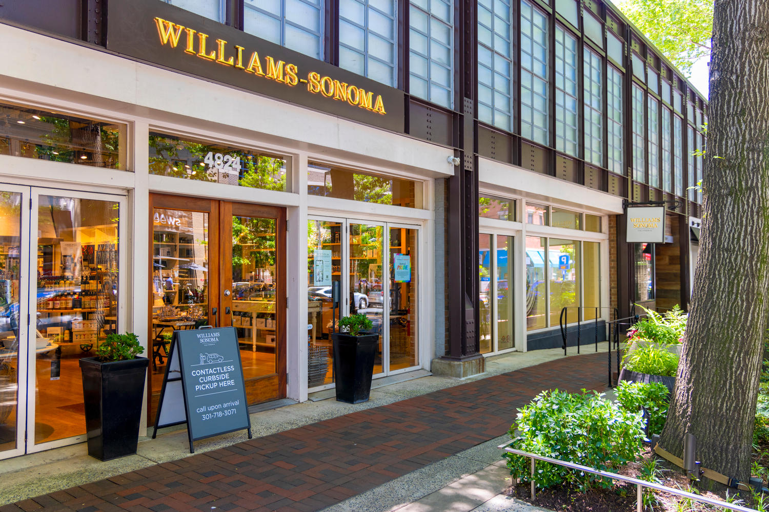 Williams Sonoma