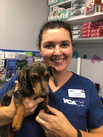 Images VCA Devotion Animal Hospital