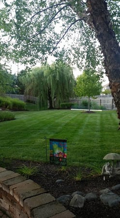 Images Adams Landscape Management Inc