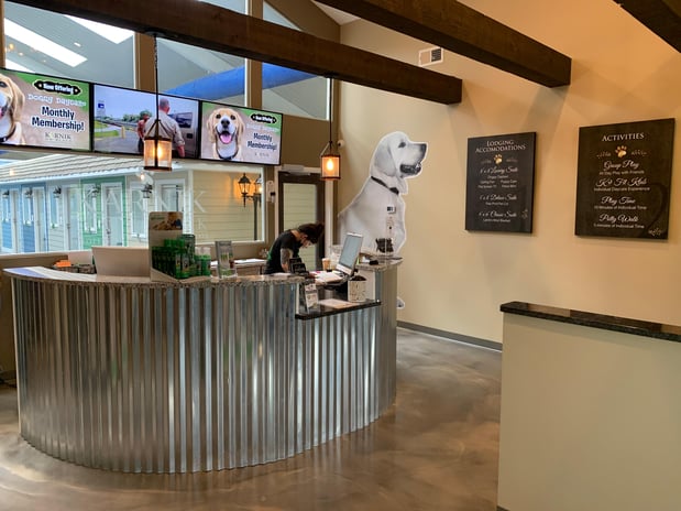 Images Karnik On Black - Dog Daycare, Boarding & Grooming