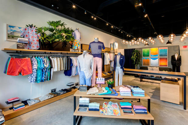 Images Bonobos