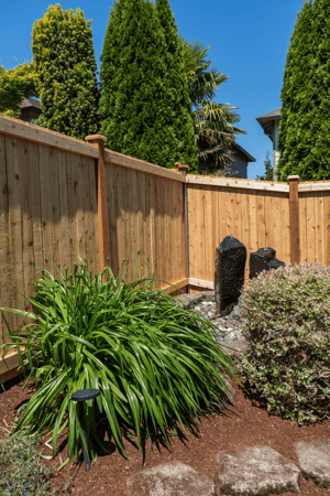 Images Rare Bears Fencing