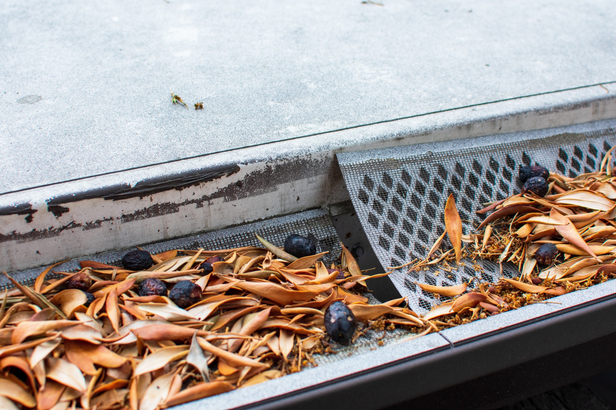 Northland Gutter Helmet Image