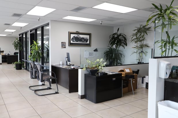 Images Palo Verde Used Cars