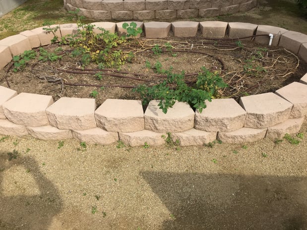 Images Sherman Oaks Landscaping