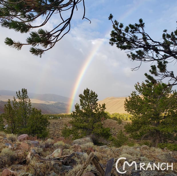 Images CM Ranch