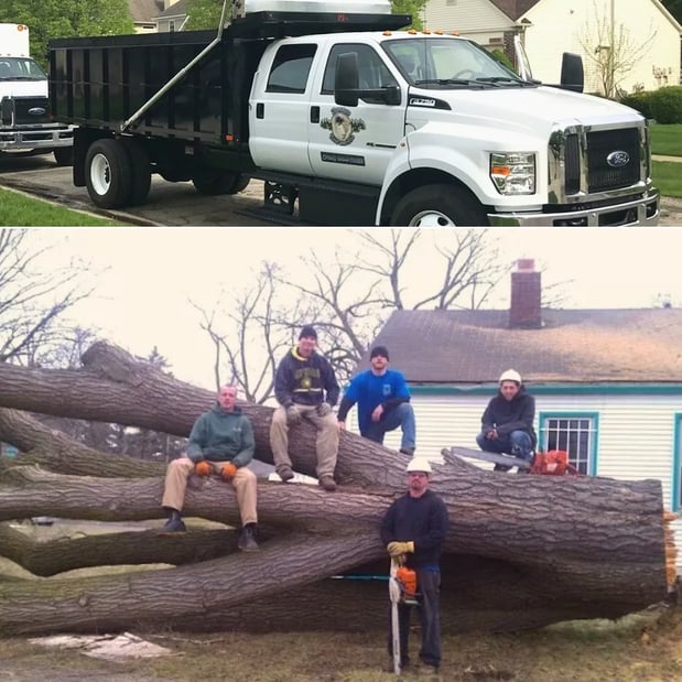 Images Spears Tree Experts Inc.