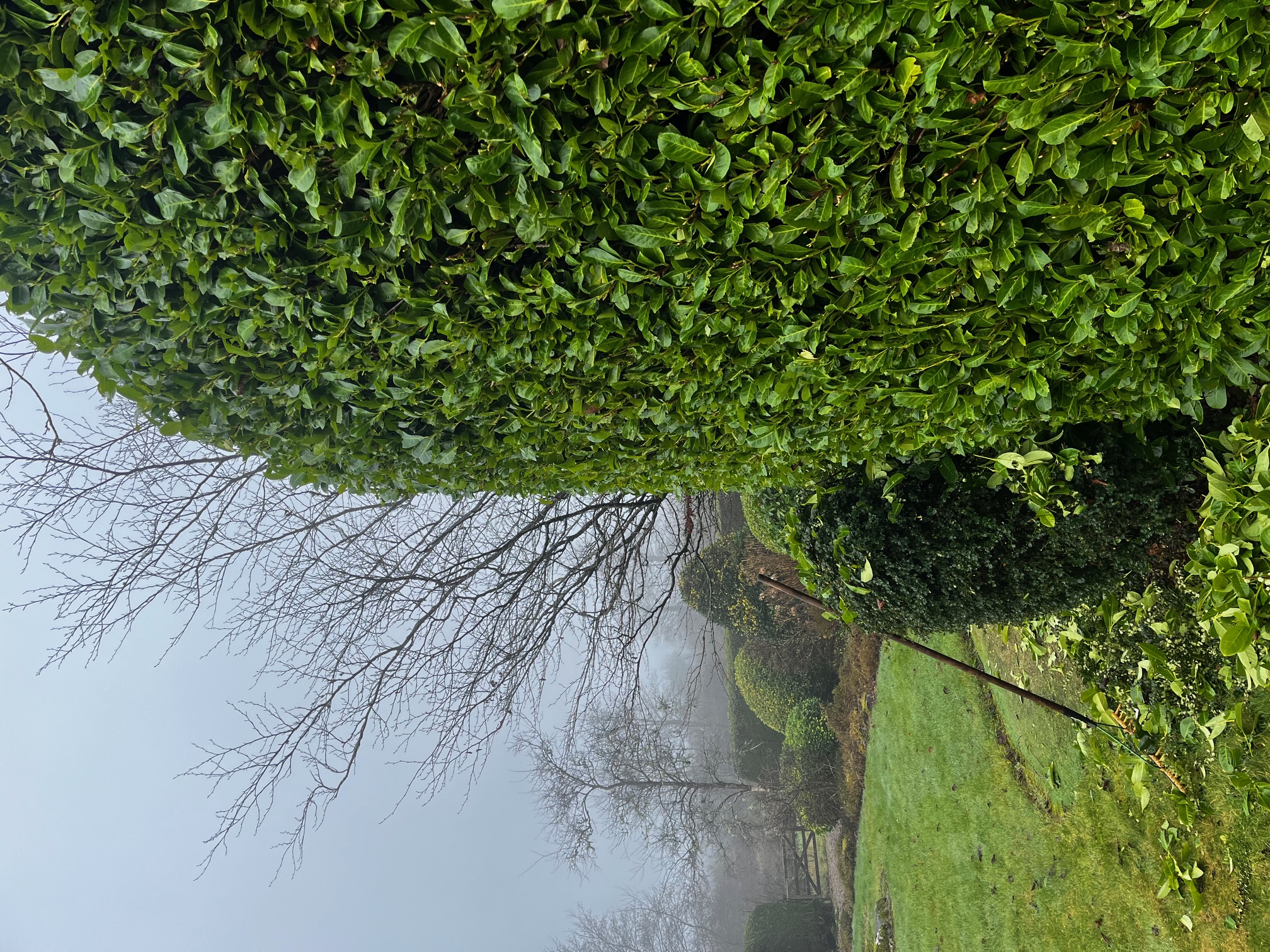 Connaughton & Sons Landscaping Ltd 16