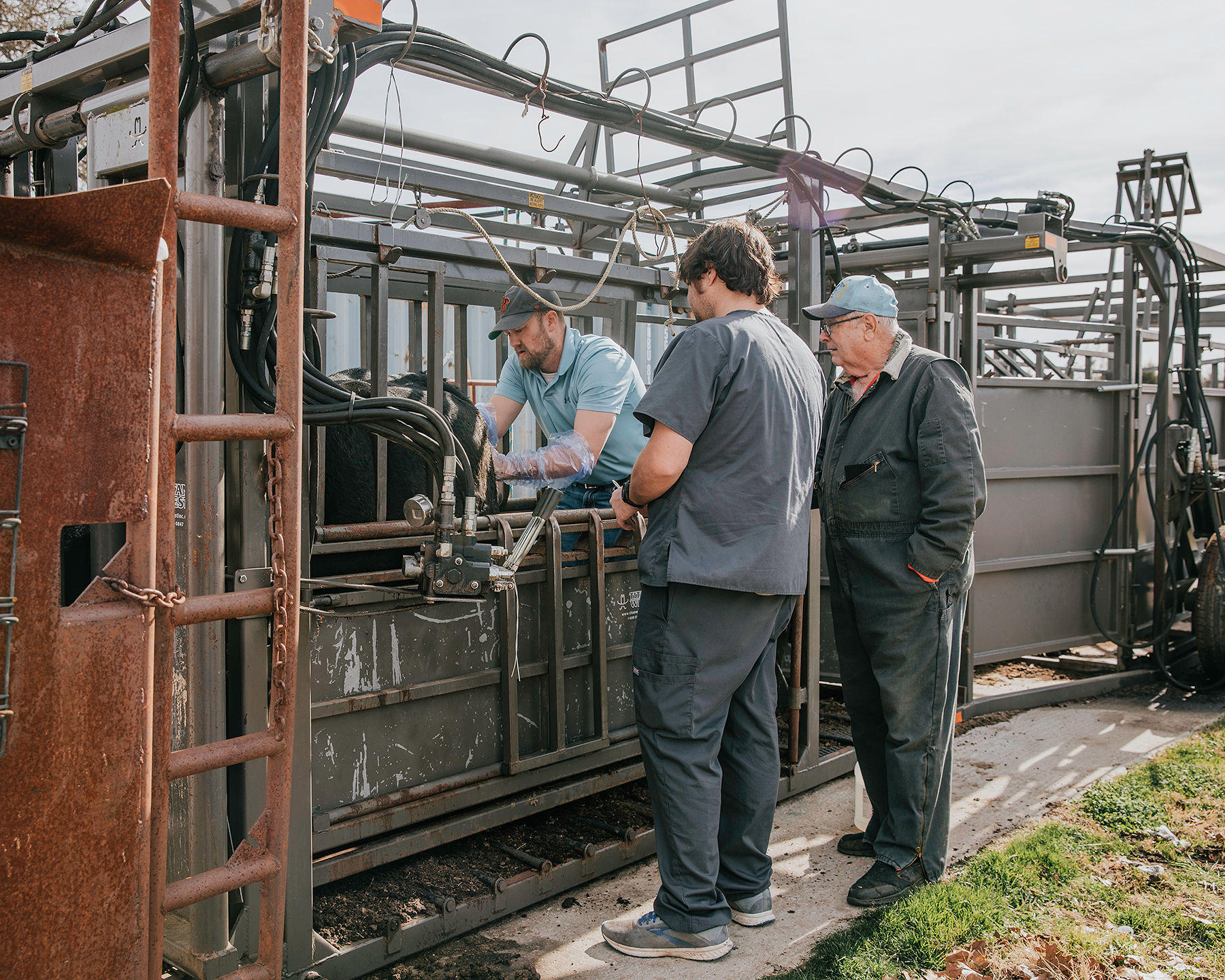 Wewoka Animal Hospital has an on-site working chute to provide a wide range of services for cattle.