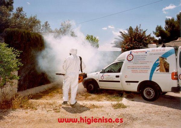 Images Higienisa Control De Plagas - Alicante