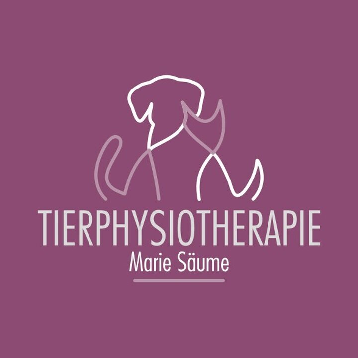 Bilder Tierphysiotherapie Marie Säume