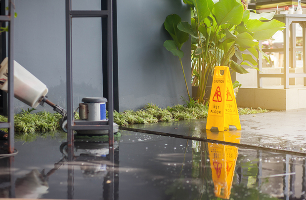 Images Blue Chip Green Cleaning
