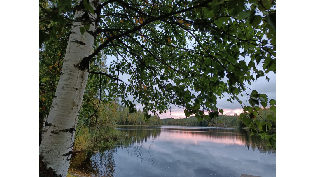 Images Muhosen lomamökit