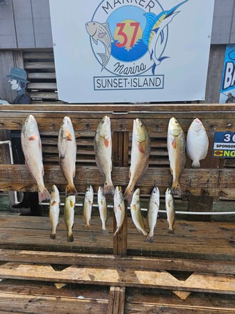 Images FishSwirl Guide Services