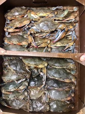 Images Greene's Seafood