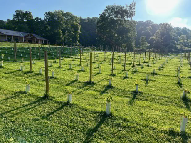 Images Hickory Vines Winery and Venue