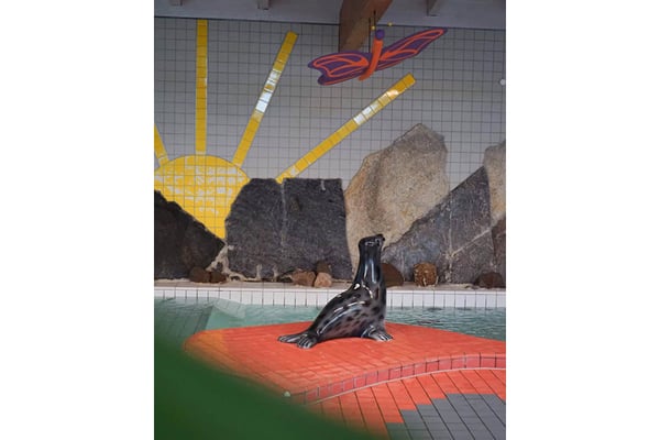 Bilder Trixi Bad - Saunalandschaft und Pool