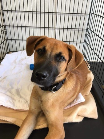 Images Billiejo Vecchio: Allstate Insurance