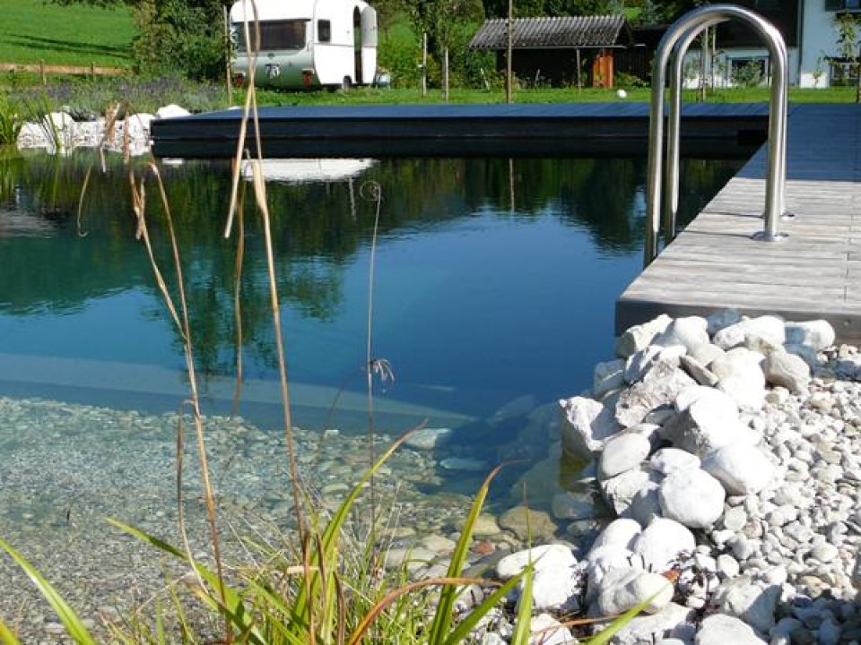 Bilder Dollberger Gartenmanufaktur - Gartengestaltung - Naturpool - Schwimmteich
