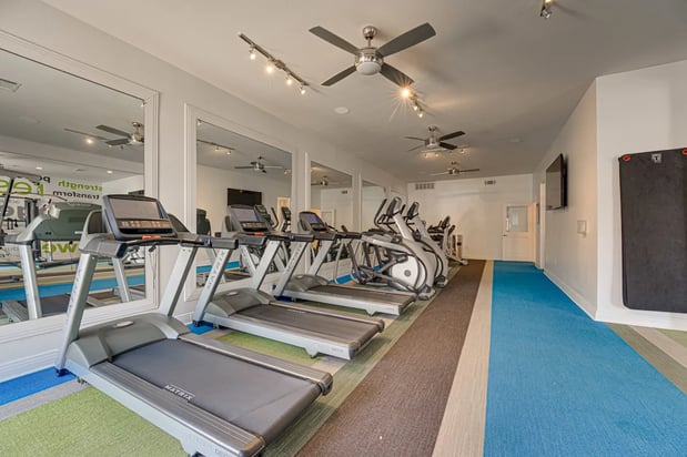 Images Vue Live Oak