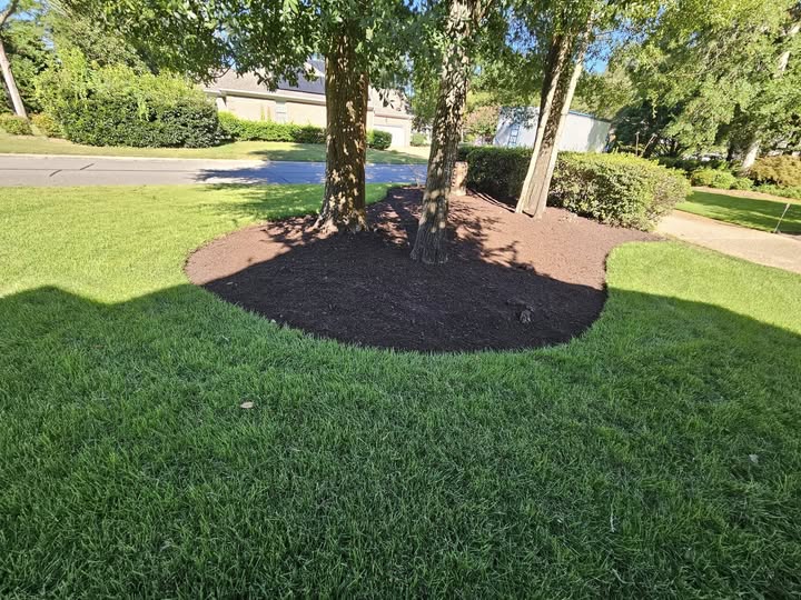 Images Jet Mulch