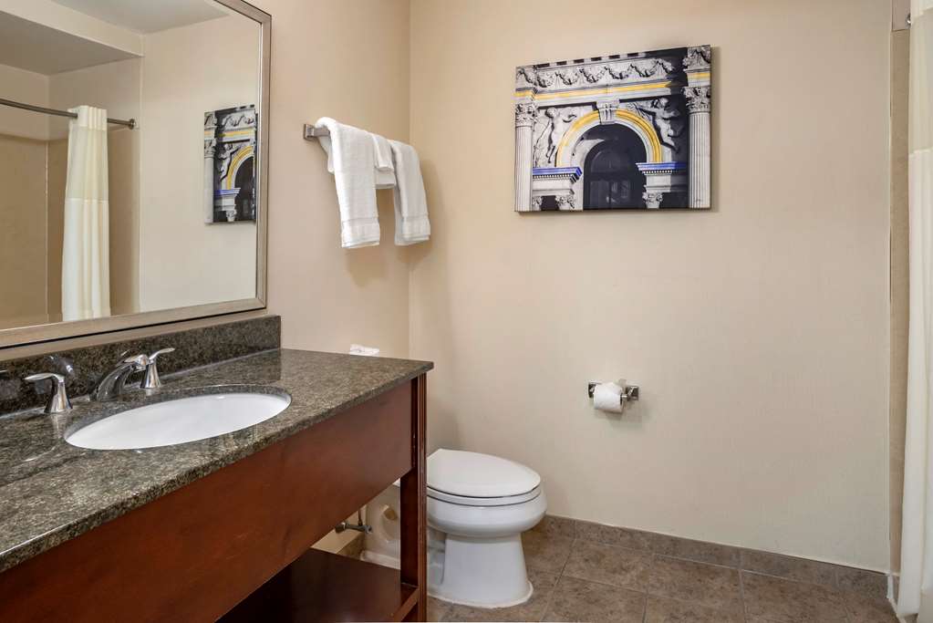 Bathroom Best Western Plus Philadelphia Airport South At Widener University Chester (610)872-8100