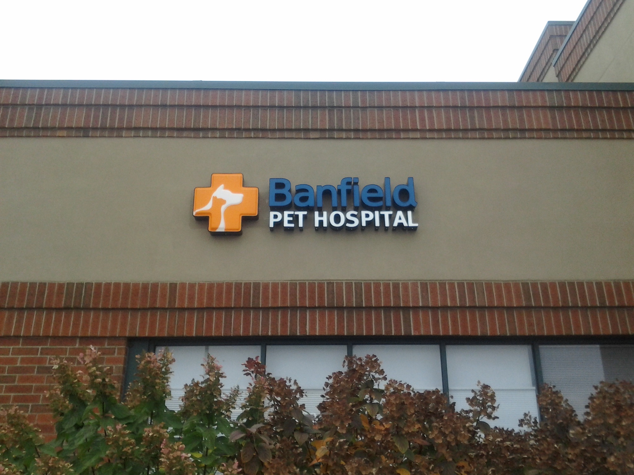 Banfield Pet Hospital - Bloomingdale