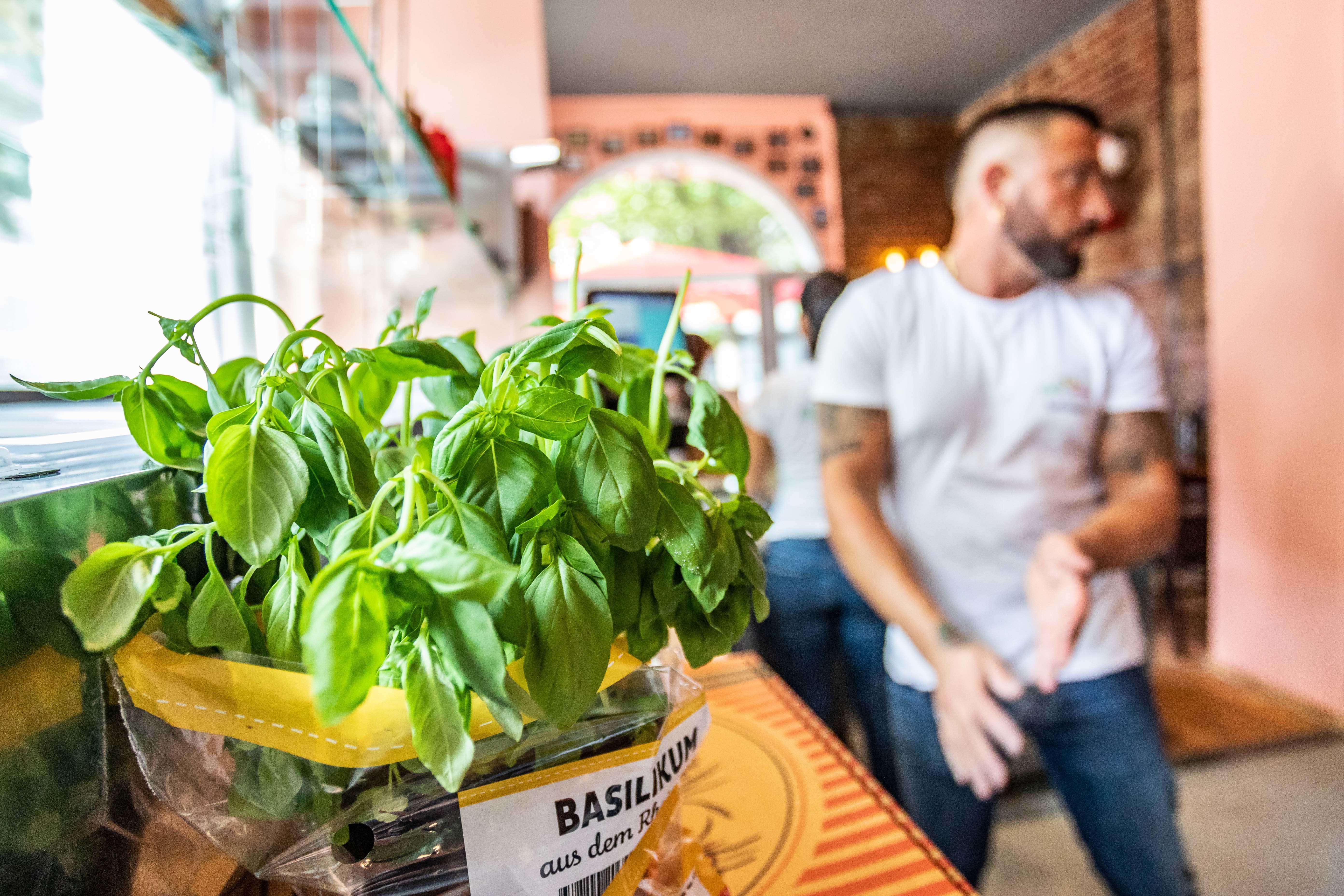Pizza & Pasta Köln, Subbelrather Str. 250 in Köln