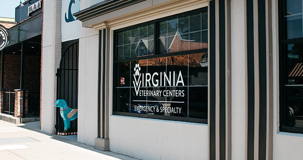 Richmond 24 hour sales vet