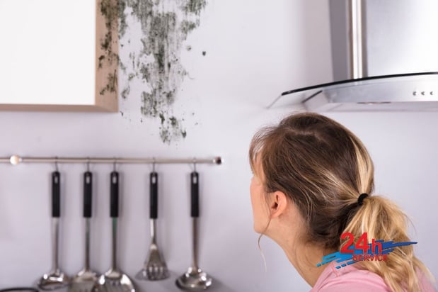 Images First Response Restoration, Water Damage Minneapolis Specialist