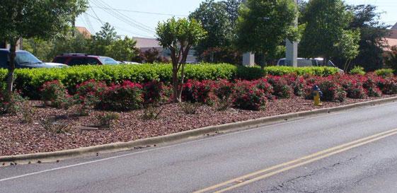 Images Turf Management Systems
