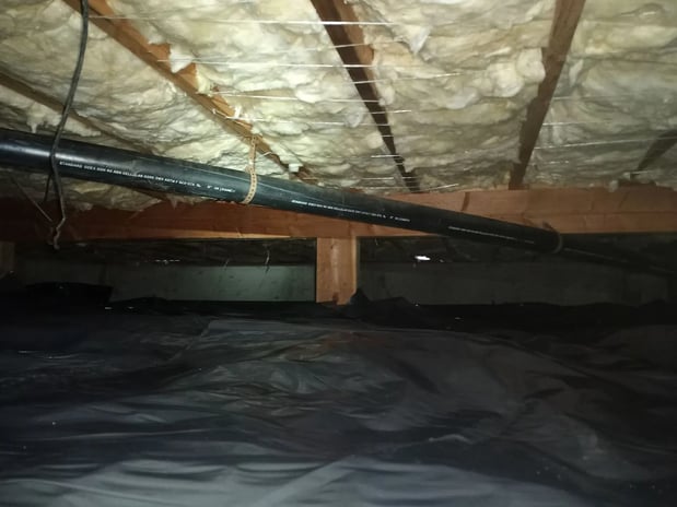 Images Kraken Insulators