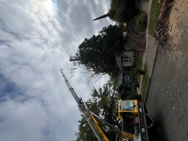 Images Haman Landscape and Tree Service