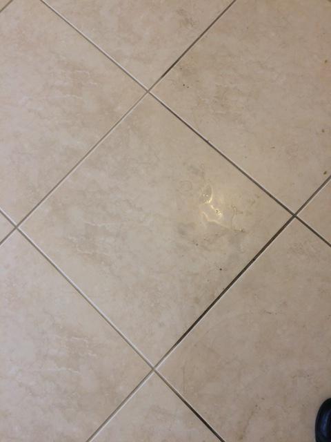 After Hours Cleaning, Inc. Logo